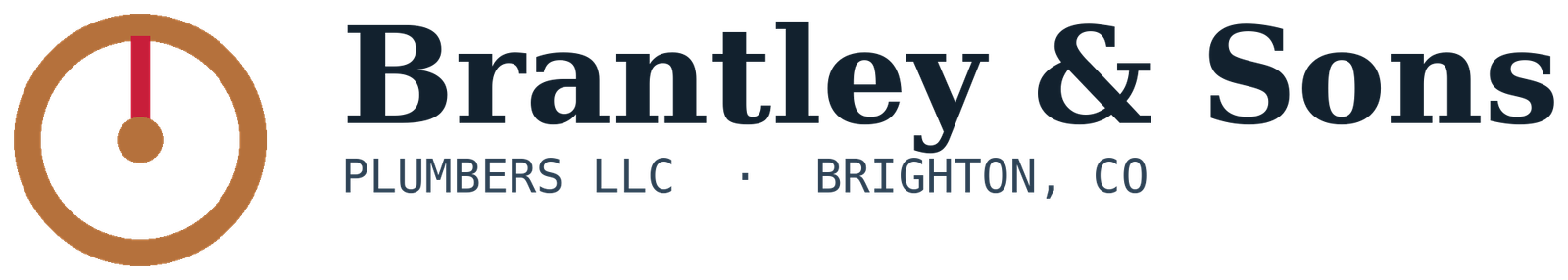 Brantley & Sons Plumbers LLC logo